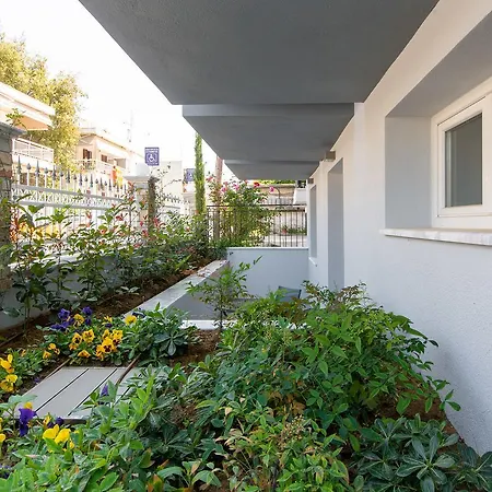 Saint Lucas نيا بوتيدايا