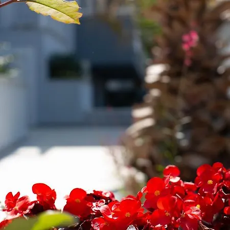 Lejlighedshotel Saint Lucas Nea Poteidaia