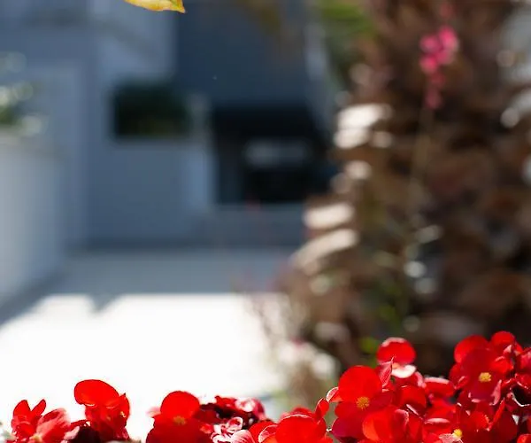 Aparthotel Saint Lucas Nea Poteidaia